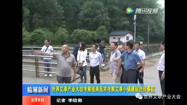 世界艾草產(chǎn)業(yè)大會(huì)創(chuàng)始人紀(jì)凱考察臨湘市艾草小鎮(zhèn)建設(shè)